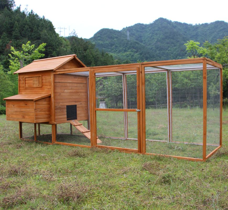 Newacme LLC Hen Chicken Coop with Chicken Run & Reviews Wayfair